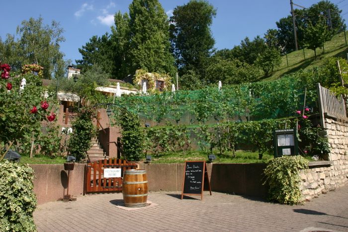 Visites guidées du Chemin des vignes, Chemin des Vignes, Issy-les-Moulineaux