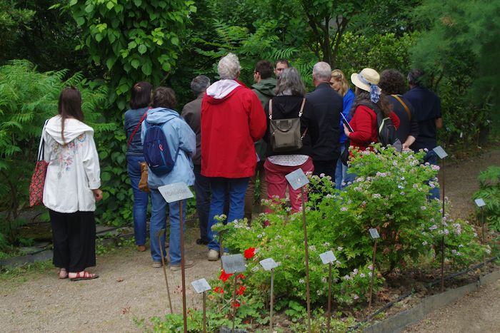 Visites guidées du jardin botanique de la faculté de santé d&rsquo;Angers, Faculté de Santé Département Pharmacie, Angers