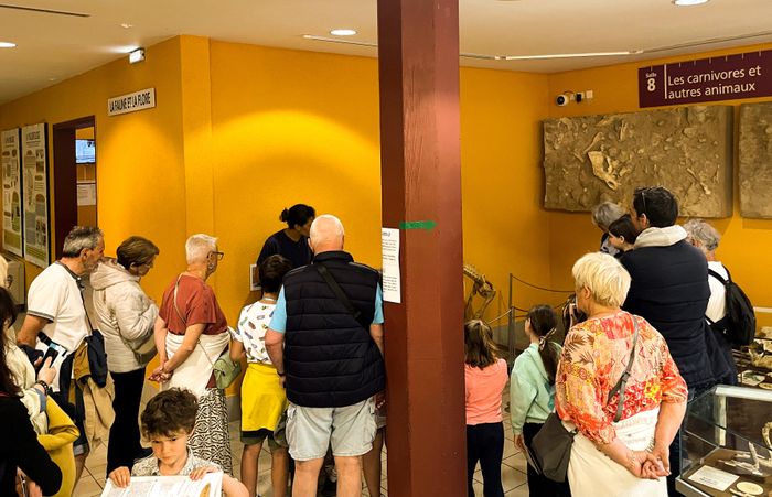 Visites guidées du musée de Tautavel, Musée de Préhistoire, Tautavel