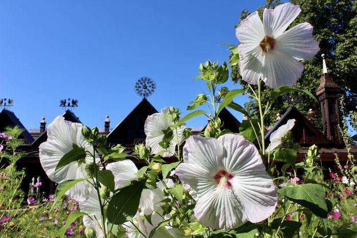 Visitez un Jardin Remarquable aux portes d’Annecy, Jardins Secrets, Vaulx