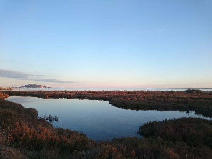 Zone humide de la Conque à Mèze : venez découvrir votre patrimoine naturel, Étang de Thau – La Conque, Mèze