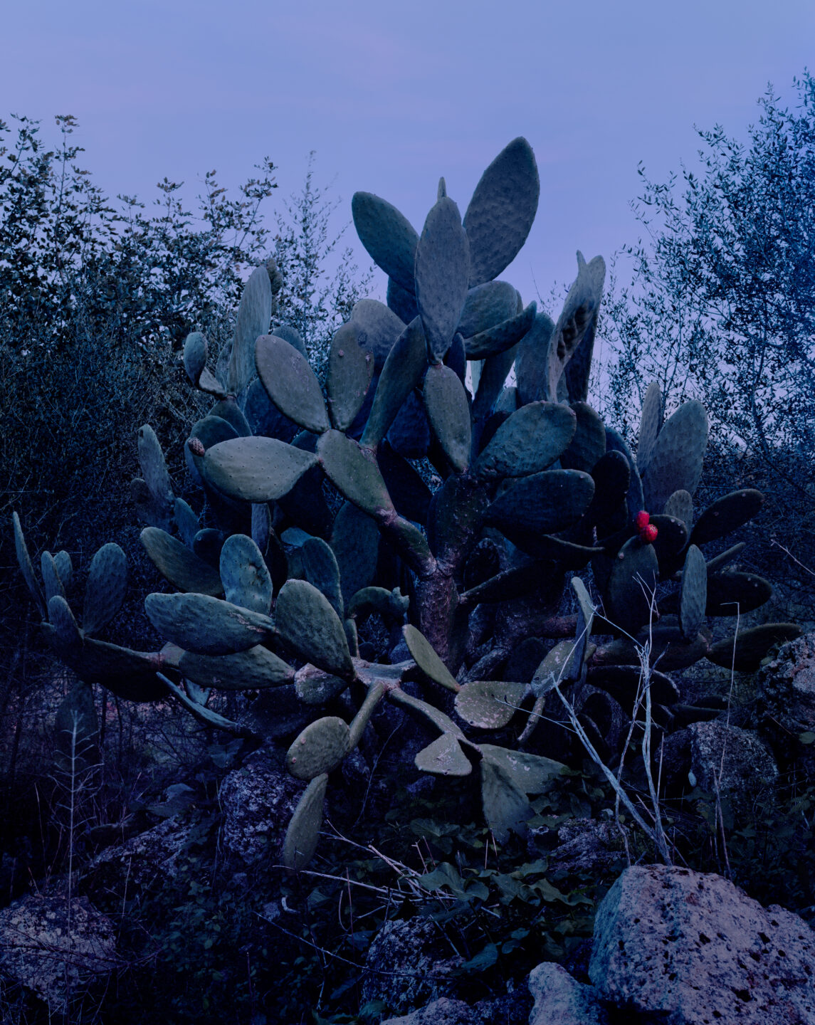 Lise Gaudaire, Anomalies