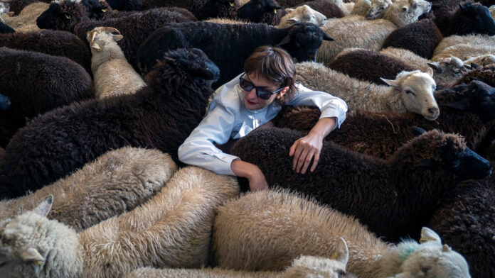 Marion Thomas Faire Troupeau