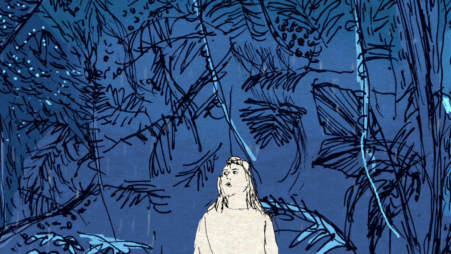 marie laure picard cheveux