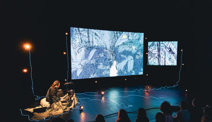 marie laure picard cheveux